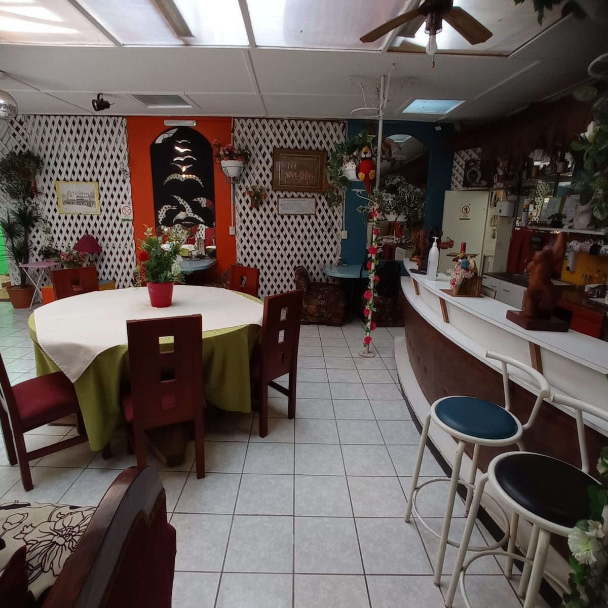 Foto de la galería 9