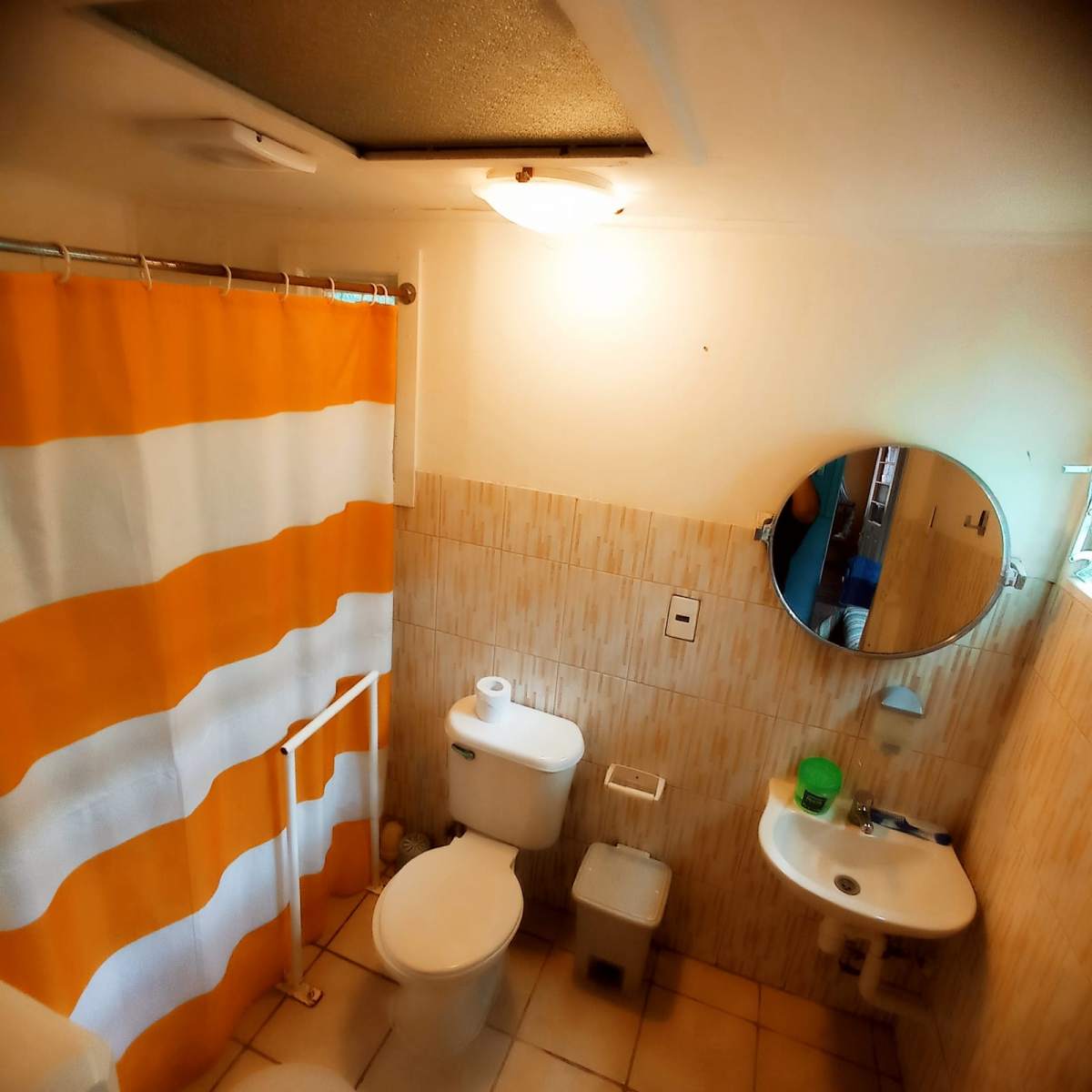 Foto de la galería 3